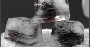 Brombeere Eiswürfel selber machen - Eismaschinen Tests com - Bild1