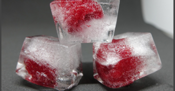 Himbeer Eiswürfel selber machen - Eismaschinen Tests com - Bild2